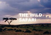 The Wild Safari