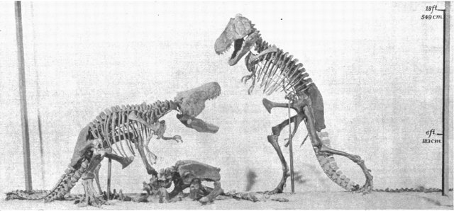 File:T.rex mount.png