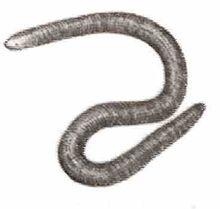 Lystromycter