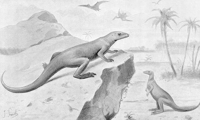 File:Obsolete Hypsilophodon.jpg