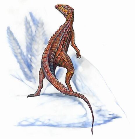 File:580px-Scutellosaurus1.jpg