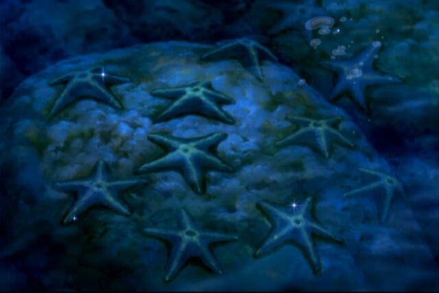 File:Star Swimmers.jpg