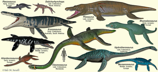 File:PlesiosaurModels.jpg