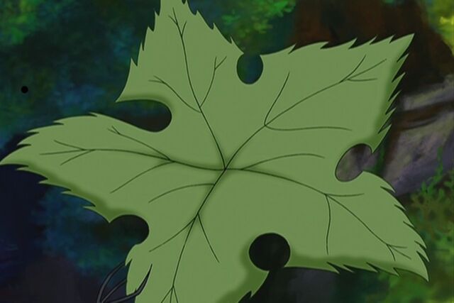 File:Groundstar Leaf.jpg