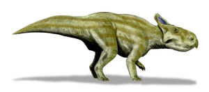 Montanoceratops