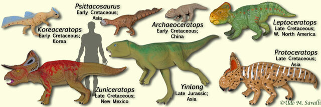 File:BasalCeratopsianModels.jpg