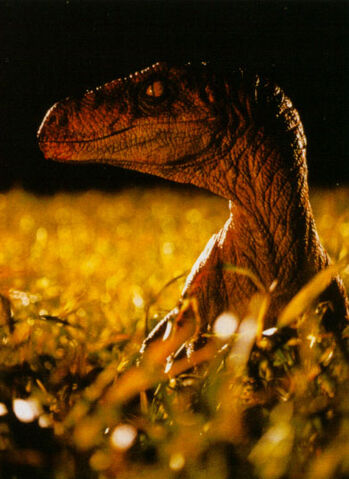 File:Lost-3.jpg