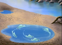 Unknown Fish 2