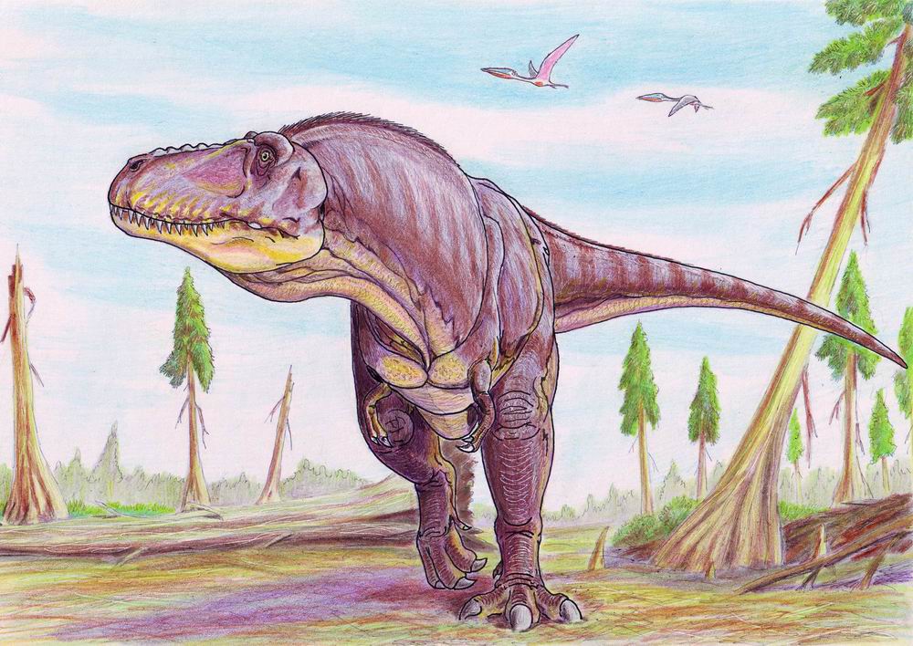 File:Tarbosaurus.jpg