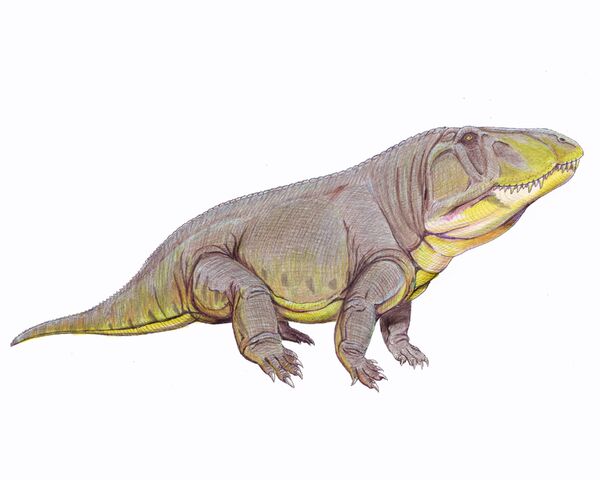 File:Erythrosuchus.jpg