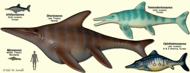 File:IchthyosaurModels.jpg