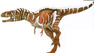 Nanotyrannus