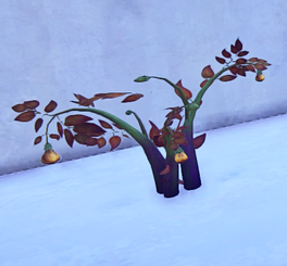 Amberleaf Plant prop placed