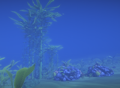 Ocean