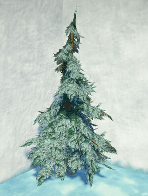 Tundra-fir-snowy-2