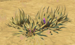 Desert-scrub-group-2