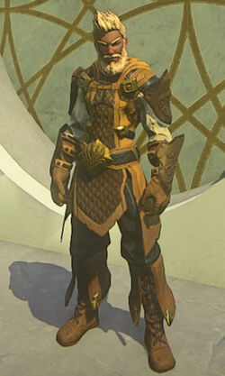 Gallant-soldier-chainmail-yellow-m