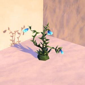 Bluebell-plant