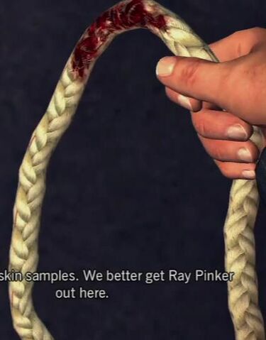 File:Rope.jpg