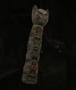 Mummified Cat