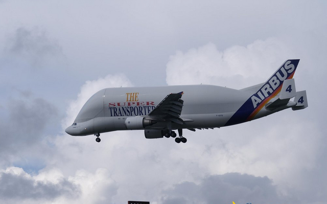 File:Beluga 3.png