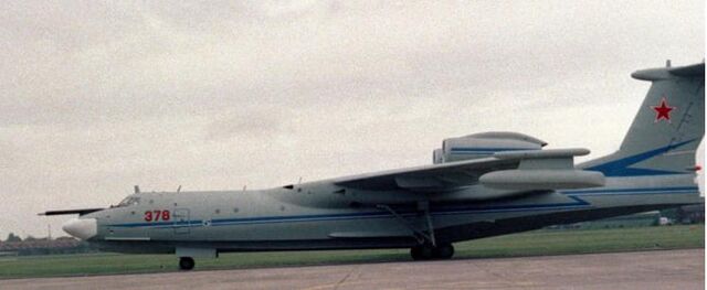 File:Albatross 6.jpg
