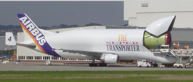 File:Beluga 2.png