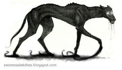 SabuesoOscuro