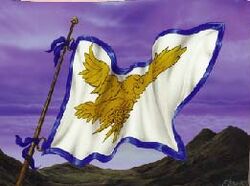 Bandera Hawkwing.jpg