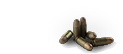 9mm-nato trech.png