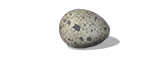 QCrocodileEgg
