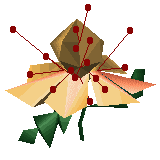 Item Garden Balsam