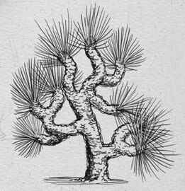 Prickletac 02.jpg