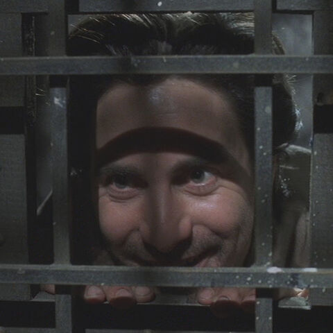 Fichier:1-Wolf prisonnier.jpg