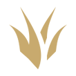 Jungle icon