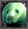 UrfSquare