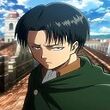 Valstork levi