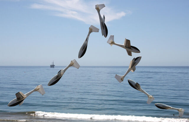 File:02-Le Fish inverted flip.jpg