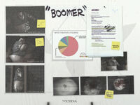 BoomerPosterCEDA.jpg