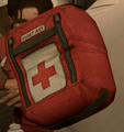 Thumbnail for version as of 19:44, November 15, 2008