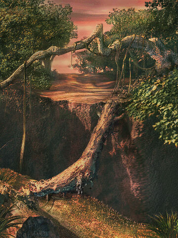 File:Forest.jpg