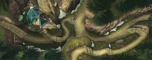Evergreen Forest 1