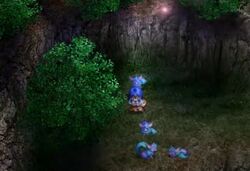 Spiritforest