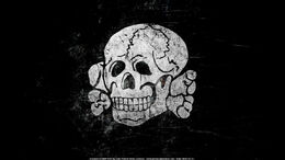 Waffen-666