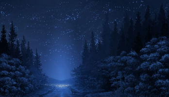 Anime-landscape-forest-night-stars-wolf-anime-1767