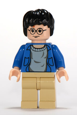 File:Flesh-harry-blue-shirt.jpg