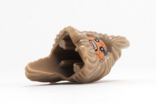 File:BEORN HEAD.jpg