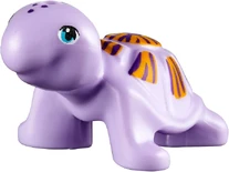 41041 turtle