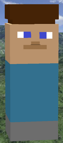 File:Steve in game.png