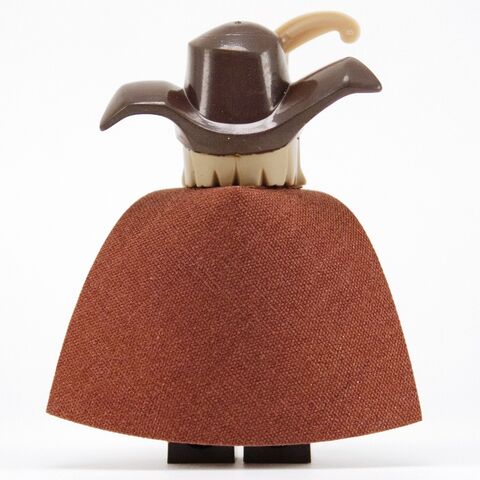 File:RADAGAST BACK.jpg